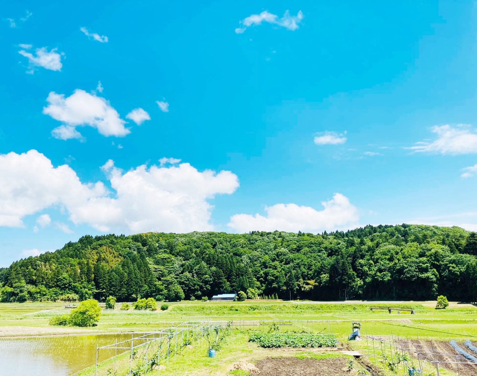 速川地区まちづくり協議会