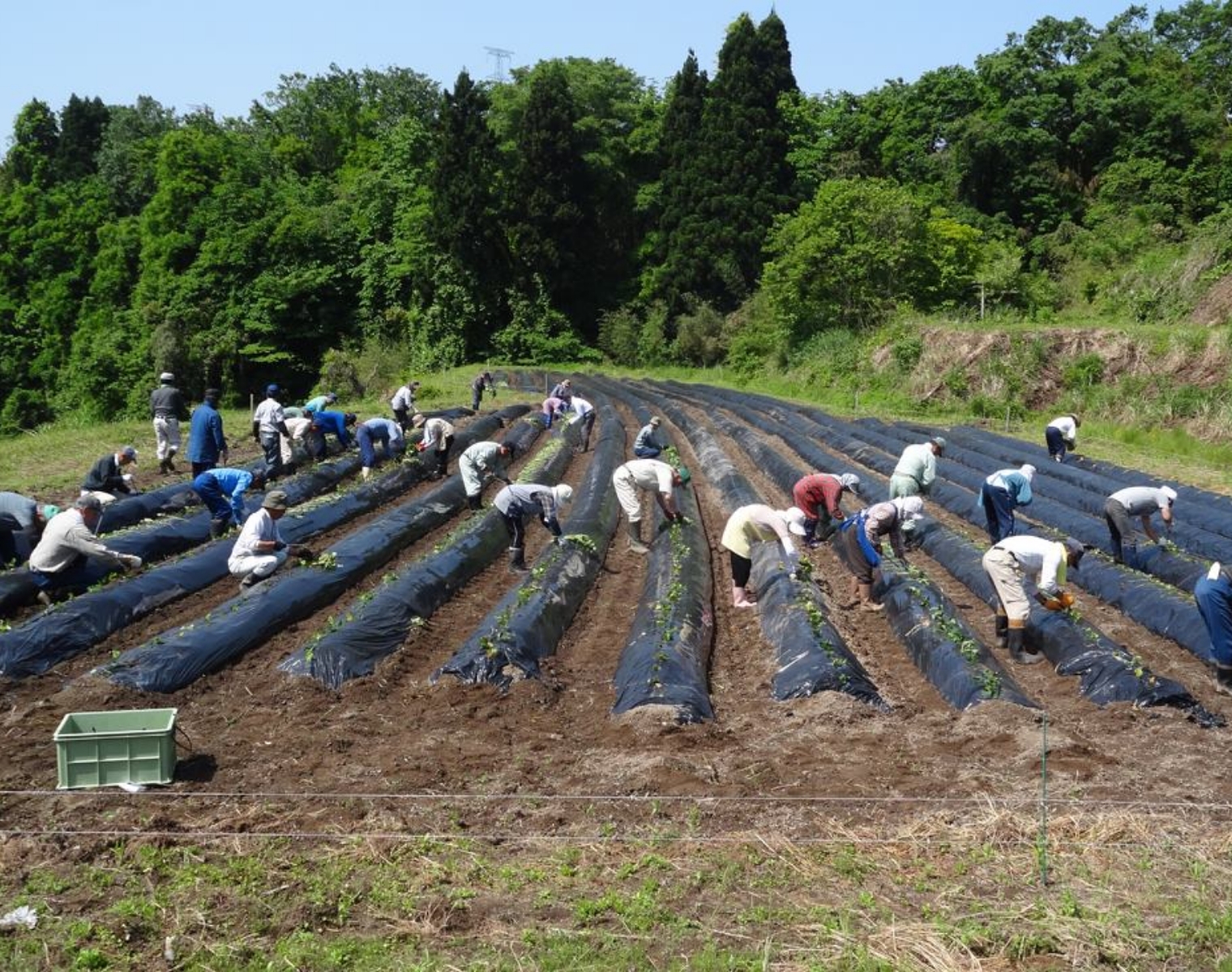 速川地区まちづくり協議会