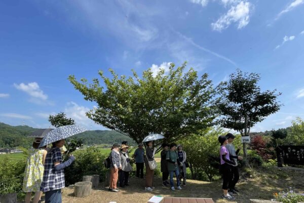 万葉ゆかりの早借舟山公園