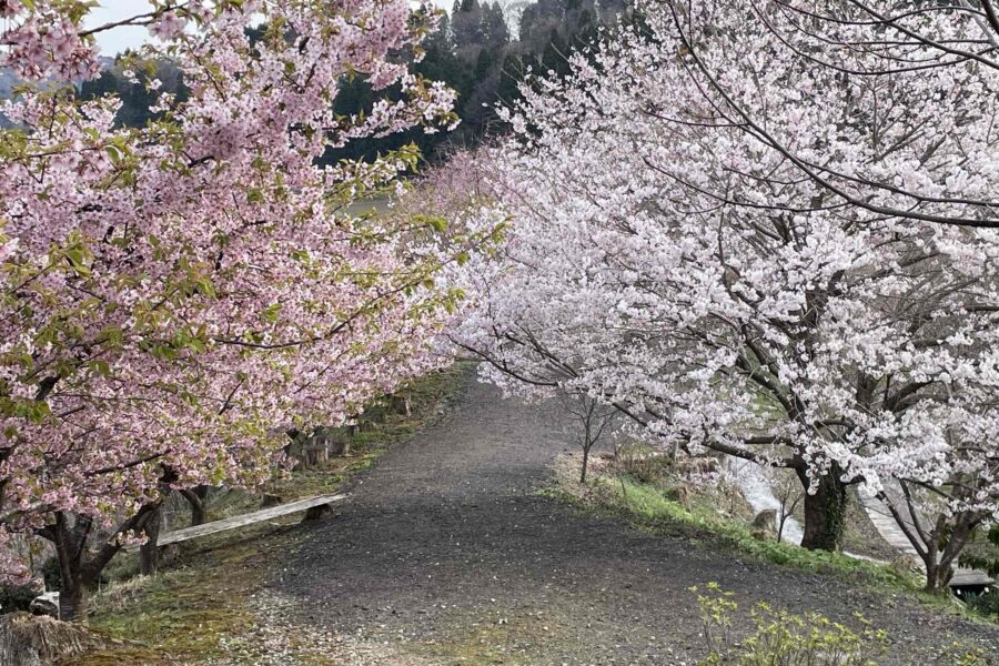 万葉と令和の里山、早借舟山公園 